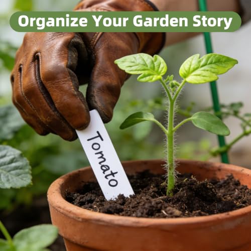 Cleangor 330Pcs Plant Labels with Marker Pen, 4" Plant Tags for Garden