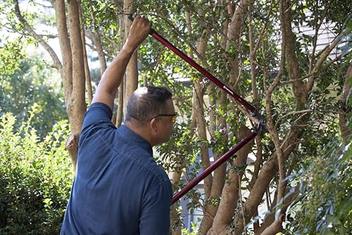 Corona Tools | 36-inch Branch Cutter MAXFORGED Orchard Loppers | Tree Trimmer Cuts Branches up to 2 ¼-inches in Diameter | AL 8482, Red - size: Size 36"