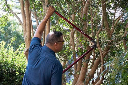 Corona Tools | 36-inch Branch Cutter MAXFORGED Orchard Loppers | Tree Trimmer Cuts Branches up to 2 ¼-inches in Diameter | AL 8482, Red - size: Size 36"