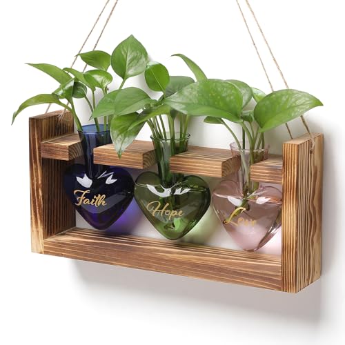 Plant Terrarium Propagation Stations Hydroponics - color: Color 1(Faith Hope Love)