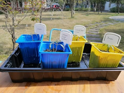Gardzen 10 Pack Seed Trays Reusable Plant Grow Trays - size: 14.5L x 9W x 1.8H