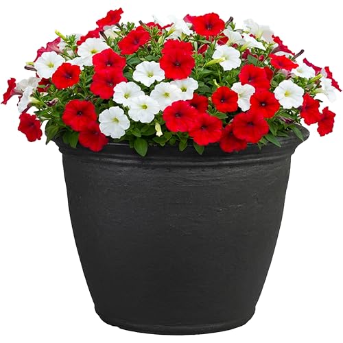 Sunnydaze Anjelica 20'' Large Plastic Planter Pot for Plants, Black - color: Matte Black, size: 20 in