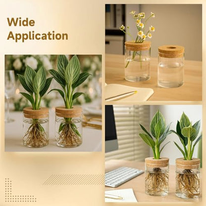 6 Pcs Propagation Vases for Plants, Cylinder Glass Vases with Cork Stopper