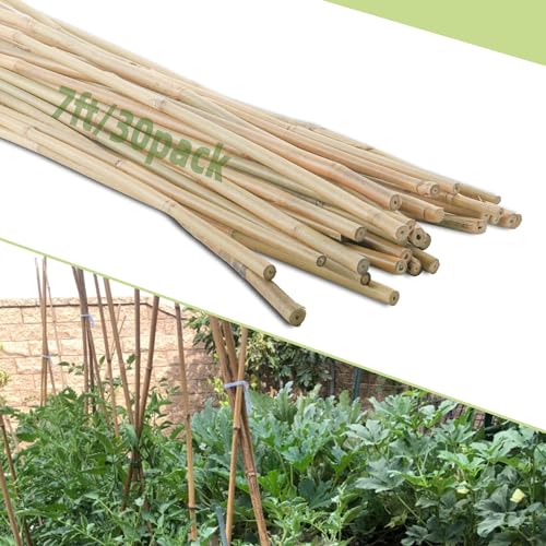 30Pcs / 7ft Bamboo Plant Stakes for Indoor Outdoor Plants, Garden Plant Support Sticks, Poles for Tomato Vegetables Beans Trees Potted Climbing Plants(0.32''-0.4'') - size: 7 FT 30PCS