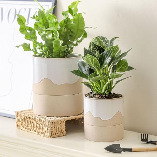 Nihow Self Watering Ceramic Planter, 4.5+6 Inch, White & Nature - color: White & Nature, size: 4.5"+6" Self Watering