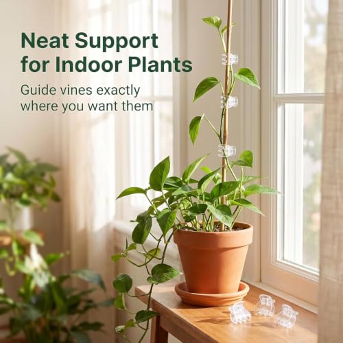 50 Pcs Plant Support Clips,Plant Orchid Clips Flowers Support Clear Fixer for Garden Vine Stem Plants Climbing Clasp Transparent 6 Claws Orchid Plastic Butterfly Plant Support Garden Structures