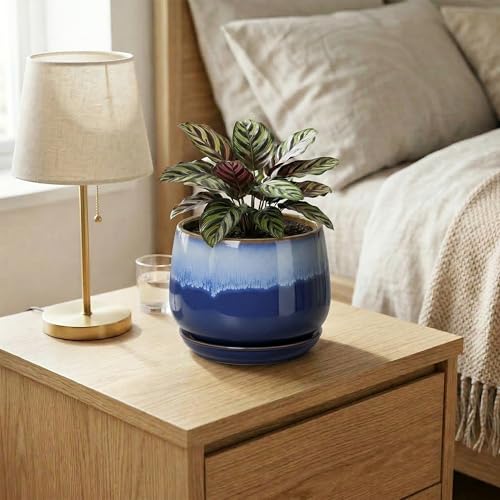 Ceramic Flower Pots, 6 Inch Plant Pot Indoor with Saucer, Deep Blue - size: 6 Inch, style: Deep Blue