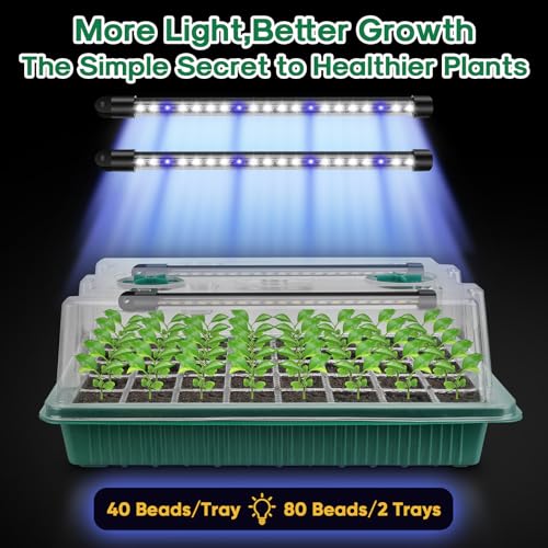 BlumWay Seed Starter Tray with Grow Light, Humidity Dome, 2 Pack 80 Cells