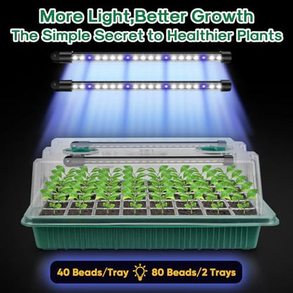 BlumWay Seed Starter Tray with Grow Light, Humidity Dome, 2 Pack 80 Cells