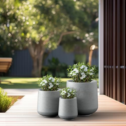 Kante Set of 3 Pale Gray Concrete Curved Round Planters for Modern Home - color: Gray Concrete, size: Set of 3: 15.3" + 11.6" + 8.2" D