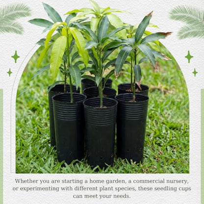 100 Pack Tall Tree Pot 9.8'' x 4.7'', Black Plastic Deep Nursery Pots, Soft Deep Seedling Pots for Seed Starting, Plant Starter Cups with Drainage Holes for Flowers, Cuttings Transplanting - size: 9.8'' X 4.7''