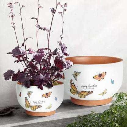 Terracotta Pots, 8+6 Inch Plant Pots, 2 Pcs with Drainage Holes - color: Jardin Butterfly, size: 8+6 Inch