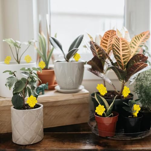 Sticky Yellow Fungus Gnat Traps, Easier to Use, No Touching Glue Or Bugs, Targets Species for Gnat, Fruit Fly & Pests, Thoughtfully Designed, High Capture Rate, Kid & Pet Safe, 36 Traps - size: 36