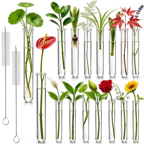 Test Tubes for Plants 16 Pack 20ml Acrylic Tubes