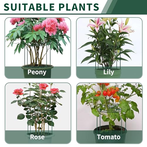 4pack Peony Cages and Supports, 14 x 32 Inch Four Legs Peony Cage, Heavy-Duty Peonies Support Cages, Peony Ring for Roses, Hydrangeas, Sage, Peonies, Cucumbers, Tomato - size: 14"x32"-4pack