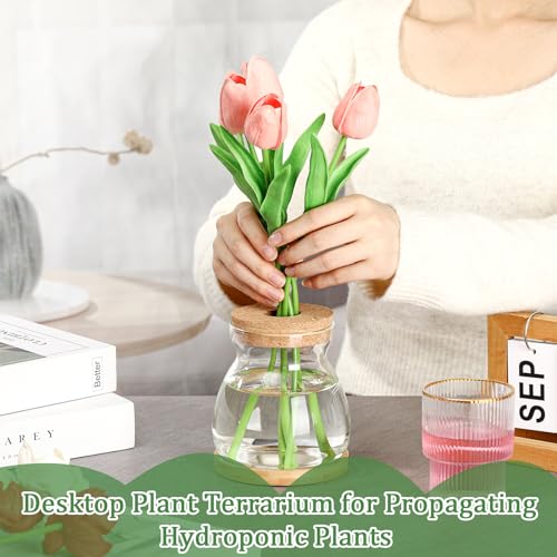 6 Pcs Glass Plant Propagation Station with Wood Lid & Stand, Novel Style - style: Novel Style