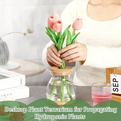 6 Pcs Glass Plant Propagation Station with Wood Lid & Stand, Novel Style - style: Novel Style