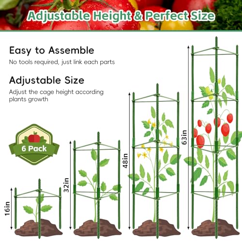 Riare 6 Pack 4 FT Tomato Cages for Garden, Heavy Duty Tomato Trellis - color: 6Pack, size: 48Inches