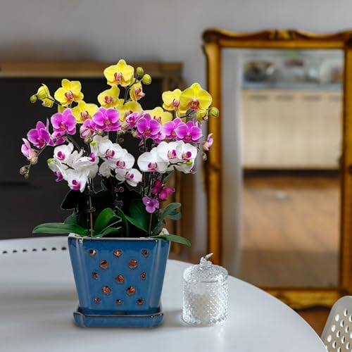 W&W Ceramic Orchid Pot with Holes and Saucer for Repotting, Blue, 7" - color: Blue
