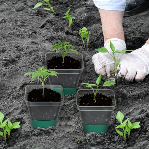 Sankoly 30 Packs Clear Nursery Pots with Plant Labels 3 Inch Plastic Plant Pot with Humidity Domes Silicone Base and Drainage Holes Reusable Seedling Pots