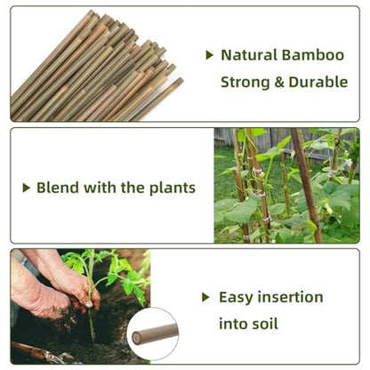 Bamboo Stakes,3Ft,65Pack,Bamboo Garden Stakes,for Tomato,Beans,Vegetable and Flowers, Potted Plants,Indoor and Outdoor Climbing Plants - size: 3Ft,65Pack
