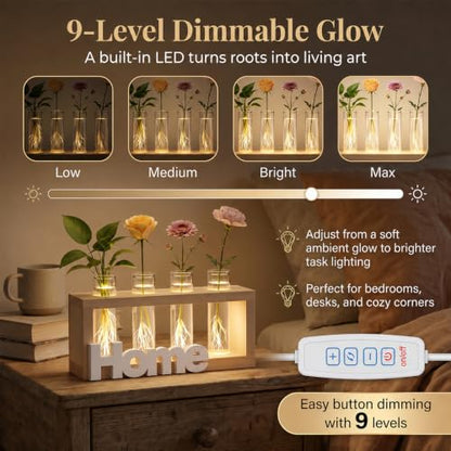 LED Plant Propagation Station 4 Glass Tubes for Hydroponic Cuttings - color: HOME