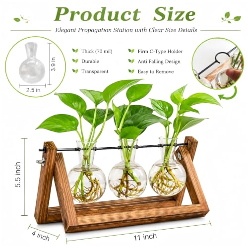 Renmxj Plant Propagation Station, Plant Terrarium with Wooden Stand - size: 3 Bulb Vase