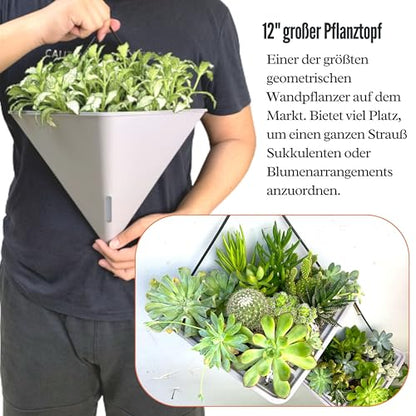 LaLaGreen Wall Planters for Indoor Plants (12in, 2 Pack) White Planter - color: White X 2 Pack