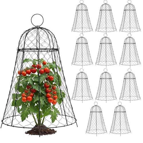 Garden Cloches for Plants 12 Pack - Chicken Wire Outdoor Plant Protectors from Animals - Heavy-Duty Metal Cage with Detachable Lid - Rustproof Covers - 12"D × 17"H - Blocks Rabbits, Squirrels & Birds - size: 12 Pack