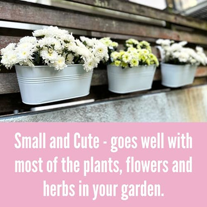 LaLaGreen Rail Planter (11.8 in, 15 Pack) White Metal Porch Fence Pots - size: 11.8" (30 cm) x 15 Pack
