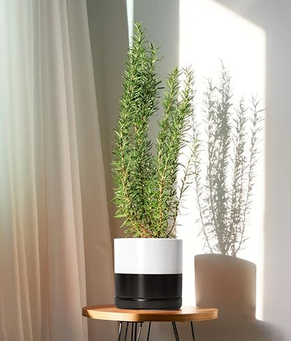 D'vine Dev 8.2 Inch Ceramic Planter Pot, Black White Two Tone, 94-O-D-L - color: Layered Monochrome Black & White, size: Medium