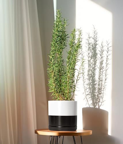D'vine Dev 8.2 Inch Ceramic Planter Pot, Black White Two Tone, 94-O-D-L - color: Layered Monochrome Black & White, size: Medium