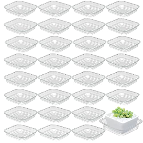 30 Pack Plant Saucers for Indoors 6 Inches Plant Trays for Pots Plastic Trays for Plants Square Plant Drip Trays for Potted Plants Flower Pot Saucers Clear Plant Plates to Catch Water, Bulk - size: 6 Inches