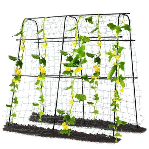 Cucumber Trellis for Raised Bed, 63" Hx63 L, Black - size: 5 x 2 x 5 ft, Arch Tunnel, Black