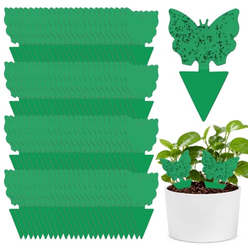 100 Pack Gnat Traps, Double Sided Plant Sticky Traps for Indoor Bug, Green - color: Green
