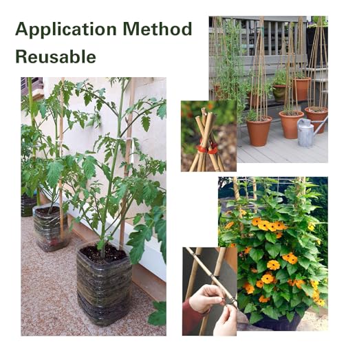 20pcs Bamboo Stakes 6 Feet, 6FT Garden Stakes Multi-Purpose, 5/8" Dia Plant Stakes for Tomatoes, Beans, Cucumbers, Peppers, Potted Trees, Maintain the Plant Posture, Strengthen and Stem - size: 6FT,Pack of 20