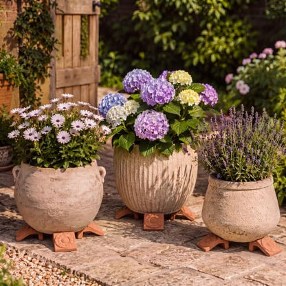 LemonRoad 12 Set Terra Cotta Cement Pot Feet for Outdoor Planters, Flower - style: Flower