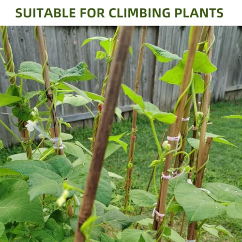 Bamboo Stakes,3Ft,65Pack,Bamboo Garden Stakes,for Tomato,Beans,Vegetable and Flowers, Potted Plants,Indoor and Outdoor Climbing Plants - size: 3Ft,65Pack