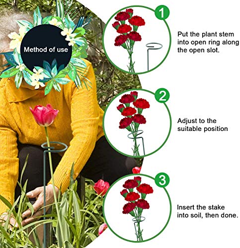 HiGift 5 Pack Plant Support Stakes, Garden Single Stem Flower Support Stick Metal Amaryllis Plant Cage Support Rings with 10pcs Plant Clips for Orchid Lily Peony Rose Stem (40 cm/16 inch Long) - size: 16 Inch-5 Pack