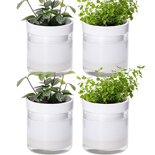 Phoenix Vine 4 Inch Self Watering Planter, White Terracotta Clay Pot with Glass Reservoir for Indoor Plants, Herbs, Flowers, Set of 4, 52-B-E-4 - color: White, size: 4" (4 Pack)