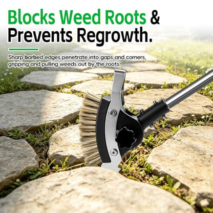 Crack Weeder Tool，3-in-1 Crevice Cleaning Tool with Adjustable Long Handle