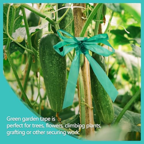 1200Ft Plant Tape,1" Stretch Garden Tie Tape Roll, Plant Ribbon(4 Rolls) - size: 1in/1200ft