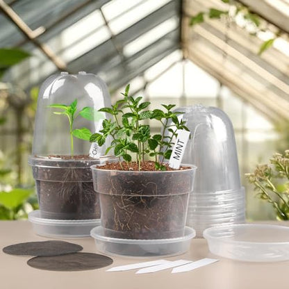 BTPLASTIK 6 Inch Clear Nursery Pots with Humidity Domes 15 Pack, Transparent Plastic Plant Pot with Drainage Holes and Saucers, Seed Starter Pots with 15 Pcs Plant Labels and 15 Pcs Soil Screens - size: 6 Inch-15P-with Humidity Domes