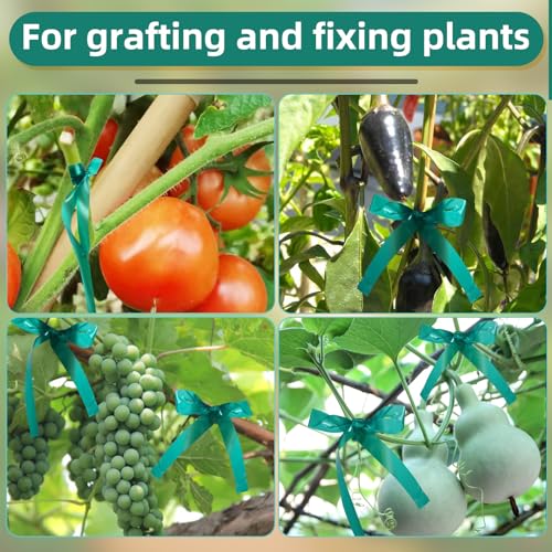 Plant Tape 10 Pack, Garden Tape and Plant Ties for Outdoor Plants, 200FT Length, 1/2 Inch Width, 180um Thickness, for Tomato Grape Vine Grafting, Vegetables Garden Use - size: Thick