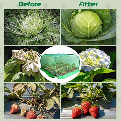 Pop Up Plant Netting Cover 40×40×20” Shade Mesh Cage Shade Top + Mesh Side - size: 100*100*50 2PCS