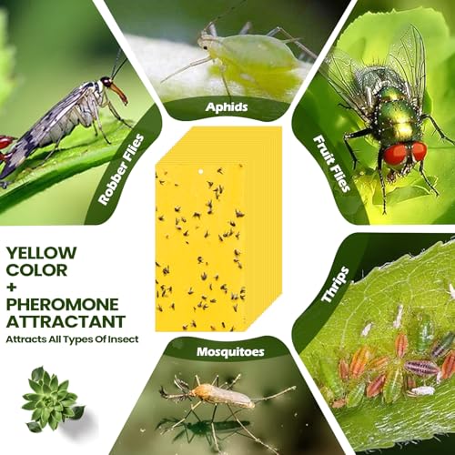 Qualirey 200 Pcs Yellow Sticky Traps for Gnats, 7.87 x 3.9 Inch - color: Yellow, size: 7.8 x 3.9 Inch
