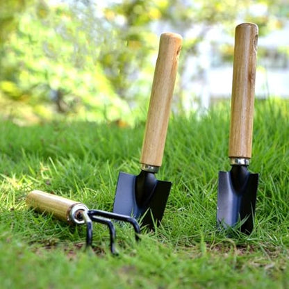 3 Pcs Mini Garden Tools Set Small Tiny Shovel Trowel and Hand Rake with Solid Wood Handle Indoor Gardening Tools for Pot Plants Succulent Bonsai - style: 3PCS Mini Black