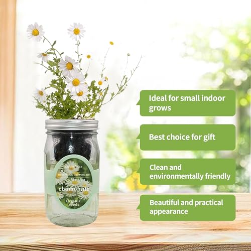 Hydroponic Herb Growing Kit, Self-Watering Mason Jar Herb Garden Starter Kit Indoor, Windowsill Herbs Garden, Grow Your Own Herbs from Organic Seeds (Chamomile) - color: Chamomile