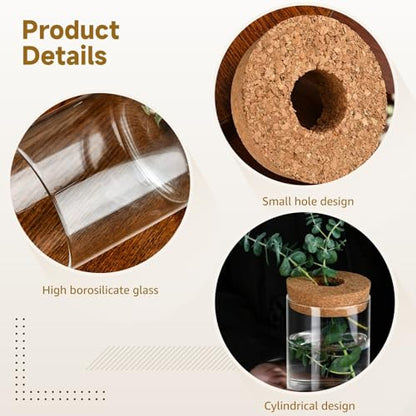 6 Pcs Propagation Vases for Plants, Cylinder Glass Vases with Cork Stopper