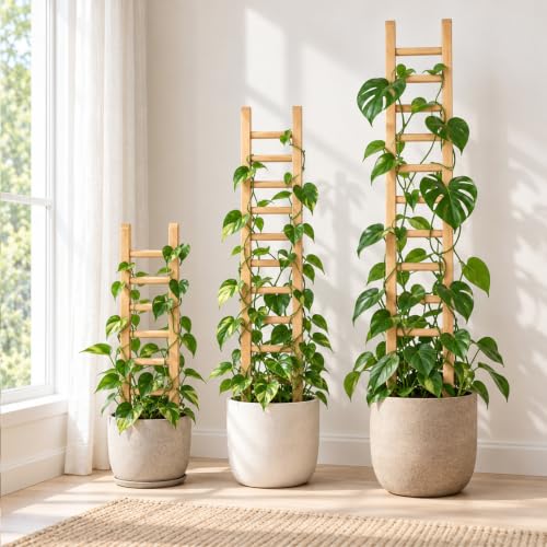16" Wooden Trellis for Pothos & Climbing Plants - Indoor Support - size: 16" H